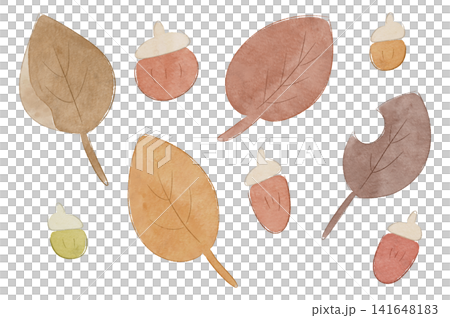 A set of watercolor-style illustrations of fallen leaves and acorns. A set of watercolor-style illustrations of fallen leaves and acorns. 141648183