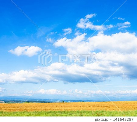 青空広がる初秋の北海道美瑛町爽やかでシンプルな風景 青空広がる初秋の北海道美瑛町爽やかでシンプルな風景 141648287