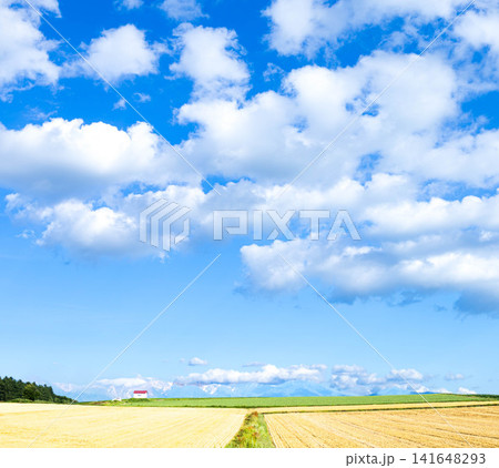 青空広がる初秋の北海道美瑛町爽やかでシンプルな風景 青空広がる初秋の北海道美瑛町爽やかでシンプルな風景 141648293