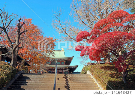 乗蓮寺(板橋) 乗蓮寺(板橋) 141648427