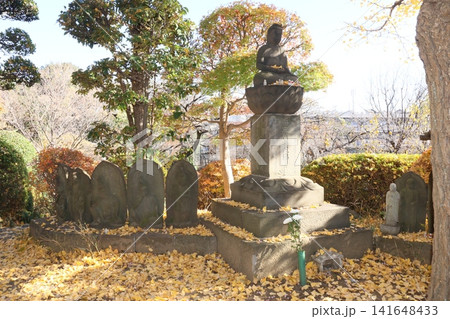 乗蓮寺(板橋) 乗蓮寺(板橋) 141648433