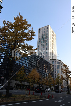 大阪御堂筋の秋の風景 大阪御堂筋の秋の風景 141648828