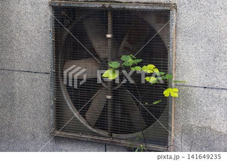 An aged industrial ventilation fan behind a rusted metal grate, with a small green plant An aged industrial ventilation fan behind a rusted metal grate, with a small green plant 141649235