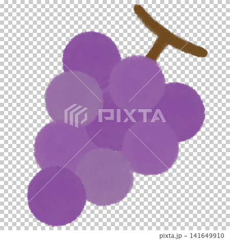 Illustration of autumn grapes Illustration of autumn grapes 141649910