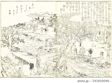 江戸名所図会:小金井橋 江戸名所図会:小金井橋 141650040