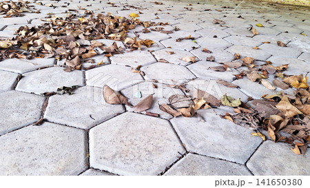 Autumn leaves scattered on hexagonal grey paving stones, natural fall background texture 141650380