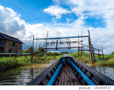 Boat trip through floating village at Inle Lake, Myanmar, with wooden stilt houses, green waterside plants and scenic travel experience on calm lake 141650537
