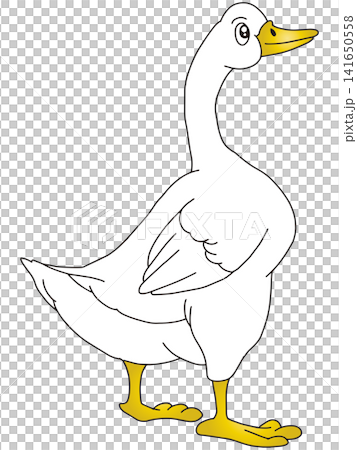 Hand-drawn animal illustration ☆ Duck Hand-drawn animal illustration ☆ Duck 141650558
