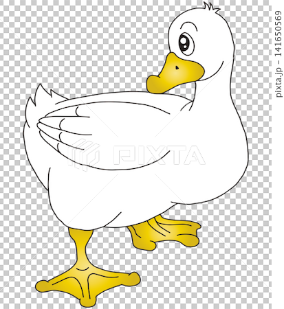 手繪動物插畫☆鴨子 手繪動物插畫☆鴨子 141650569