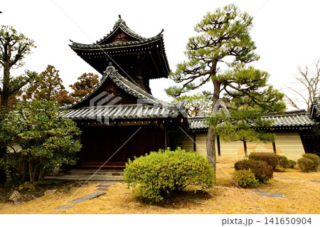 京都府 大谷祖廟 太鼓堂 京都市東山区円山町 2022年 3月 京都府 大谷祖廟 太鼓堂 京都市東山区円山町 2022年 3月 141650904