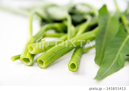 空芯菜 空芯菜 141651413