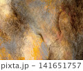 アクリルで描いた岩のような茶色のテクスチャ背景 141651757