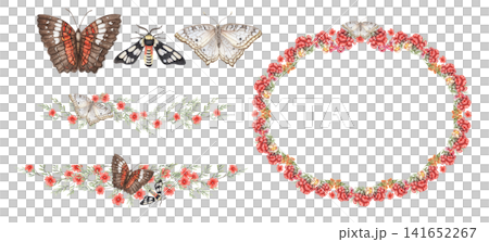 Butterflies wreath with flower and text divider set watercolor illustration. Hand drawn white and red peacock with snapdragon and wasp moth. Botanical floral template for vintage summer greeting card. 141652267
