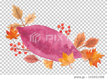Watercolor sweet potato frame material Watercolor sweet potato frame material 141652306
