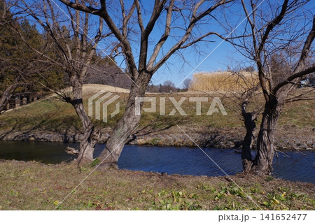 池のある風景 池のある風景 141652477