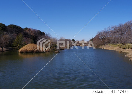 冬の晴れた日の冬景色 141652479