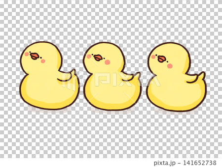 一列に綺麗に並んだアヒルの子供たち（get one's ducks in a row） 141652738