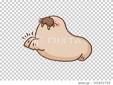 A walrus happily claps its front paws (at an aquarium show). A walrus happily claps its front paws (at an aquarium show). 141652739