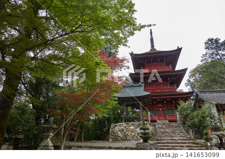 柏原八幡宮　三重塔　新緑 141653099