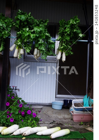 秋の長野県白馬村の青鬼地区は冬がすぐそこまで迫っているようです。 秋の長野県白馬村の青鬼地区は冬がすぐそこまで迫っているようです。 141653248
