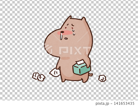 A dog repeatedly wiping its runny nose and tears with a tissue (hay fever/heartbreak) 141653435