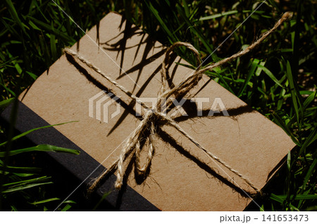 Eco friendly kraft paper brown notebook with natural jute twine resting on green grass, sustainable packaging concept for handmade gifts, zero waste lifestyle and conscious shopping. Summer memories. 141653473