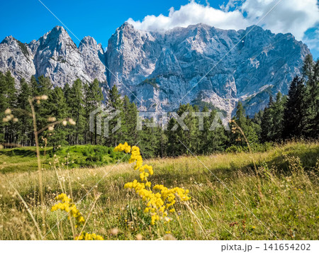 Stunning view on the Vrsic Pass in Triglav National Park, Slovenia, looking towards the rocky Julian Alps mountains with winding alpine road, green slopes and dramatic sky Stunning view on the Vrsic Pass in Triglav National Park, Slovenia, looking towards the rocky Julian Alps mountains with winding alpine road, green slopes and dramatic sky 141654202