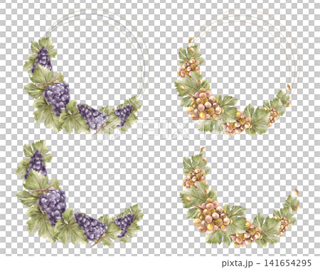 Bunch of yellow, green and blue grapes, leaves and berry. Watercolor grapevine semi circular frame set. Wine or juice label. Hand painted illustration for card, wine list Isolated from background. Bunch of yellow, green and blue grapes, leaves and berry. Watercolor grapevine semi circular frame set. Wine or juice label. Hand painted illustration for card, wine list Isolated from background. 141654295