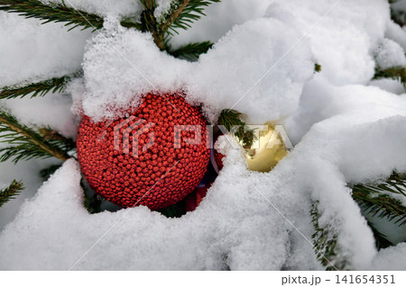 A Christmas tree stands in a snowy landscape, adorned with red and gold ornaments. Snow covers the branches, creating a winter scene full of holiday spirit A Christmas tree stands in a snowy landscape, adorned with red and gold ornaments. Snow covers the branches, creating a winter scene full of holiday spirit 141654351