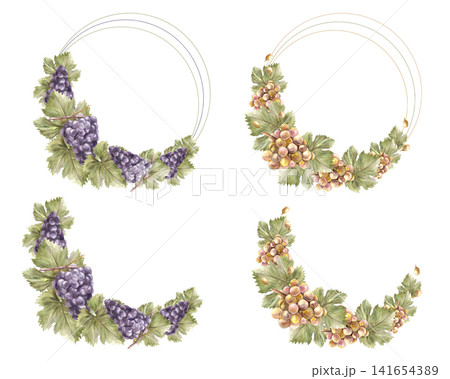 Bunch of grapes, leaves, berry. Watercolor semi circular frame set. Grapevine isolated illustration Bunch of grapes, leaves, berry. Watercolor semi circular frame set. Grapevine isolated illustration 141654389