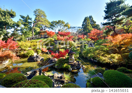 吉城園の紅葉 吉城園の紅葉 141655031