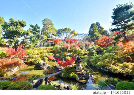 吉城園の紅葉 吉城園の紅葉 141655032