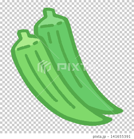 オクラ2本のカラーイラスト 141655391