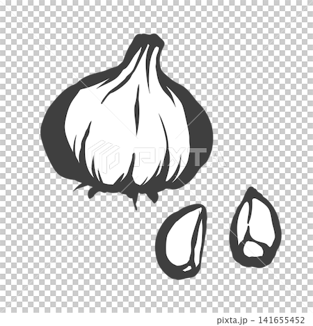 にんにくの手描き筆絵風イラスト 141655452