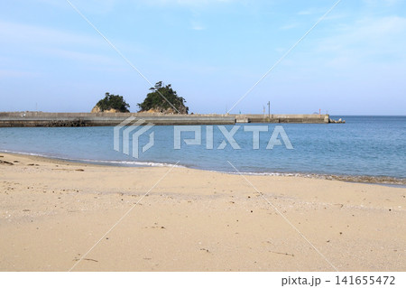 小屋取浜の砂浜と海(宮城県女川町) 小屋取浜の砂浜と海(宮城県女川町) 141655472