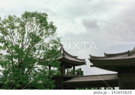 View From Tsz Shan Monastery View From Tsz Shan Monastery 141655628