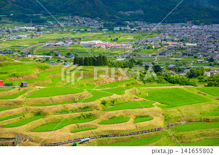 【夏】姨捨の棚田【千曲市】 【夏】姨捨の棚田【千曲市】 141655802