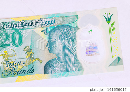 Egyptian twenty pound paper money collection representing official cash issued by Bank of Egypt. Egyptian twenty pound paper money collection representing official cash issued by Bank of Egypt. 141656015