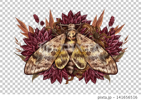Watercolor botanical composition featuring a hawk moth and autumn flowers. Isolated clipart with a transparent background, ideal for greeting cards, invitations, branding, packaging, scrapbooking, Watercolor botanical composition featuring a hawk moth and autumn flowers. Isolated clipart with a transparent background, ideal for greeting cards, invitations, branding, packaging, scrapbooking, 141656516