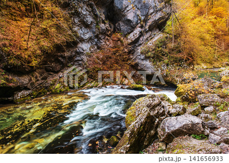 Vintgar gorge, Slovenia 141656933