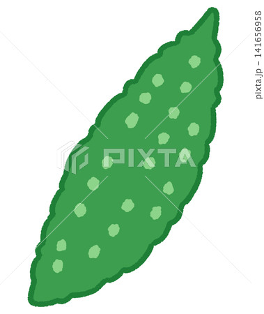 ゴーヤのカラーイラスト ゴーヤのカラーイラスト 141656958