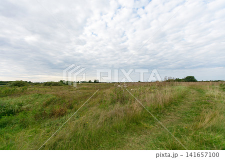 Open field with grassy landscape and cloudy sky on a tranquil day in rural setting Open field with grassy landscape and cloudy sky on a tranquil day in rural setting 141657100