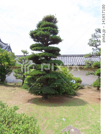 和歌山城天守閣 和歌山城天守閣 141657180