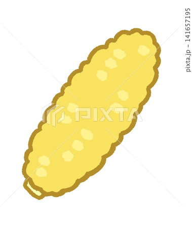 とうもろこしのカラーイラスト とうもろこしのカラーイラスト 141657195