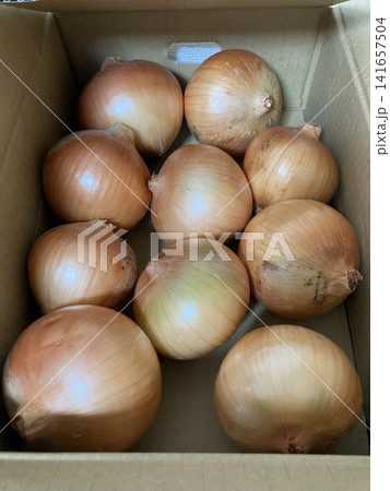 段ボール箱に入った新鮮な玉ねぎ 段ボール箱に入った新鮮な玉ねぎ 141657504