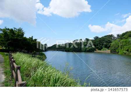 愛知県東海市_聚楽園公園ヤカン池18_2025年7月 愛知県東海市_聚楽園公園ヤカン池18_2025年7月 141657573