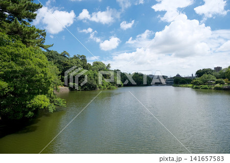 愛知県東海市_聚楽園公園ヤカン池8_2025年7月 愛知県東海市_聚楽園公園ヤカン池8_2025年7月 141657583
