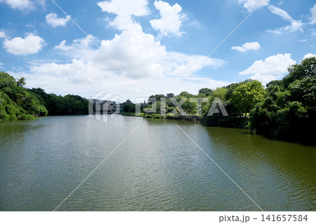 愛知県東海市_聚楽園公園ヤカン池9_2025年7月 愛知県東海市_聚楽園公園ヤカン池9_2025年7月 141657584