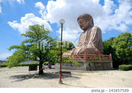 愛知県東海市_聚楽園大仏1_2025年7月 愛知県東海市_聚楽園大仏1_2025年7月 141657589