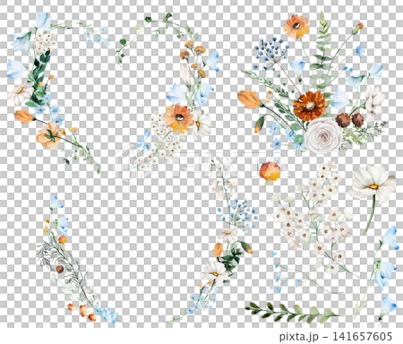 Watercolor clipart with blue, ivory and orange wildflowers, illustration for wedding stationery 141657605